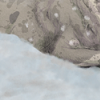 A soft snowdrift. A soft snowdrift.